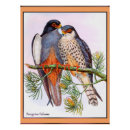 Recherche de pèlerins posters Oiseaux