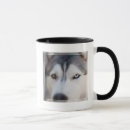 Search for malamute mugs Siberian husky
