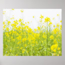 Search for mustard art Green