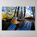 Recherche de pontiff posters Pontife