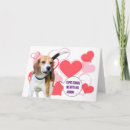 Search for beagle valentines day cards Hearts