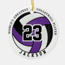 Search for greatest ornaments Sports
