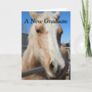Search for funny horse cards Cowboy