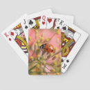 Recherche de insecte de dame rose Jardin