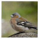 Recherche de baguette carreaux Animal