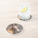 Search for horse coasters Foal