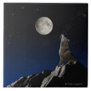 Recherche de égaliser carreaux Nuit