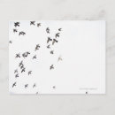 Recherche de troupeau cartes postales Animal