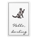 Search for black cat magnets Cool