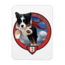 Recherche de superbe magnets Chien