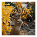 Recherche de deer posters Cerf
