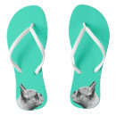 Search for french bulldog shoes Cute