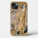 Search for animal behaviour electronics Colour image