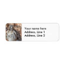 Search for hawk return address labels Animal