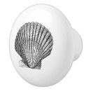 Search for seashell knobs and pulls Scallop