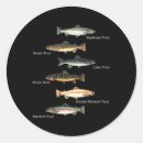 Search for tackle stickers Deep sea fishing