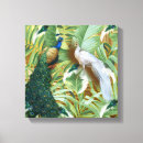 Search for golden canvas prints White