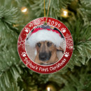 Search for dog name ornaments Modern
