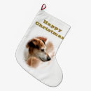 Search for jack russell christmas stockings Pets