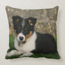 Recherche de de border collie coussins Se coucher