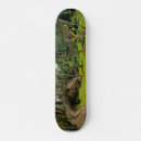 Search for fantasy skateboards Dragon