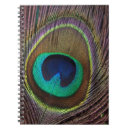 Search for peacock feathers notebooks Modern
