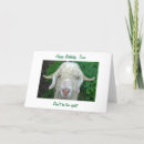 Search for over the hill 40th birthday cards Photography