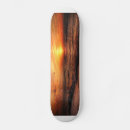 Recherche de coucher soleil skateboards Mer