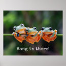Search for frog posters Cute