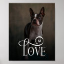 Recherche de décor de chien posters Dogs