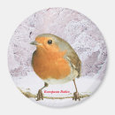 Search for large image magnets Snow