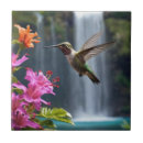 Search for hummingbird tiles Wildlife