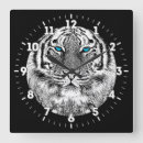 Recherche de tiger horloges Nature