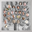 Search for family tree posters Photos