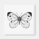 Search for vector butterfly magnets Black