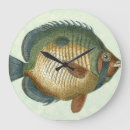 Search for fish clocks Colourful
