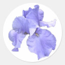 Search for tall stickers Flower