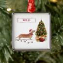 Search for dachshund ornaments Humour