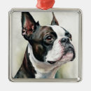 Search for boston ornaments Black