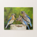 Recherche de oriental puzzles Birding