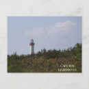 Search for cape may postcards Nature