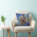 Search for koala pillows Animal