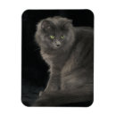 Recherche de longs cheveux magnets Chat