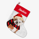 Search for english bulldog christmas stockings Dogs