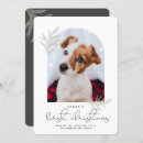 Search for dog christmas cards Script