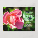 Search for single rose postcards Roses