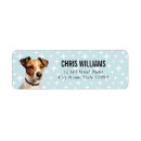 Search for jack russell terrier return address labels Dog