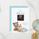 Search for funny animal photos cards Animals