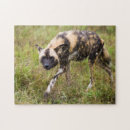 Search for one colour puzzles Full length