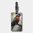 Search for lorikeet Rainbow